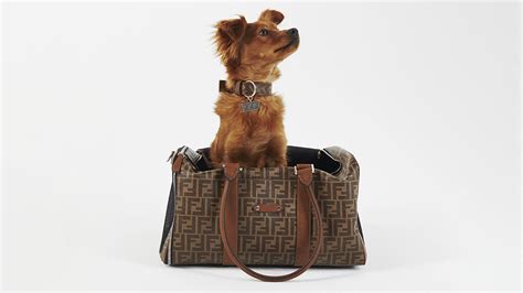 fendi dog lead|Fendi pet line.